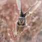 Taking Flight