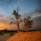 Throne of the Dunes