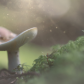 A Bit of Magic