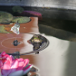 Frog and solar fountain