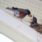 A Good Spot for a Nest