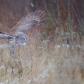 The take-off