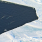 fishing at floe edge