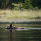 Estuary Swimmer