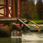 Head Above Water