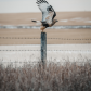 Take Flight