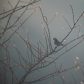 Between seasons