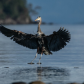 In Flight