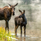Motherly Protection
