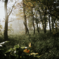 In the mists