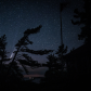 White Pine Comet