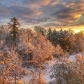 Snowfall & Sunrise