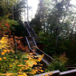 Wooded Pathways