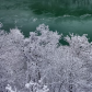 Snow covered trees in Niagara Gorge 