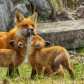 Kisses for mom
