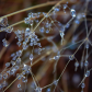 Tiny Droplet Universes 