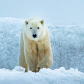 Big White