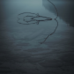 Sea Creature