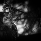 There's always light within the darkness...