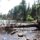 The Majestic views of the  Algonquin 
