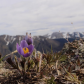 Mountain Top 