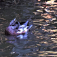 The Dragon of Ducks