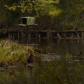 Natural pond