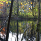 reflection