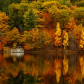 Colors reflections