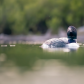Loon