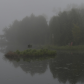 Natural pond on a foggy day