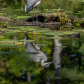A Moment to Reflect