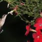 FEEDING AT NIGHT