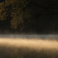 First Light 