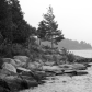 A Tree, Hiking Killbear Provincial Park.