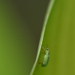 On The Move