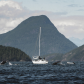 The whale sail