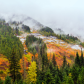 Amazing fall foliage in stormy weather at the Coquihalla Summit