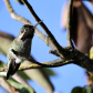 Singing in Patricia Bay