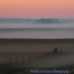 Early morning fog
