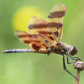 Halloween Pennant