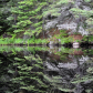 Algonquin Reflection