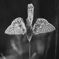 Three-petalled flower