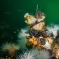 What Lies Beneath