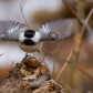 Takeoff