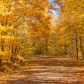 The quiet road to the local water reservoir