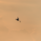 Midair Stunt 