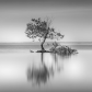 Standing All Alone