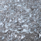 Murmuration of Sandpipers