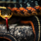 S-s-serpent